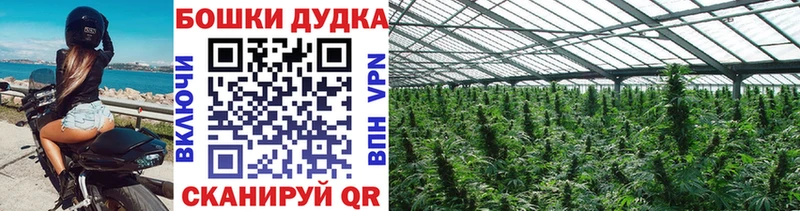 Наркошоп купить Cocaine  ЭКСТАЗИ  СОЛЬ  ГАШИШ  Меф мяу мяу  Курчалой
