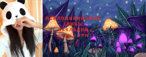 стаф Алексин