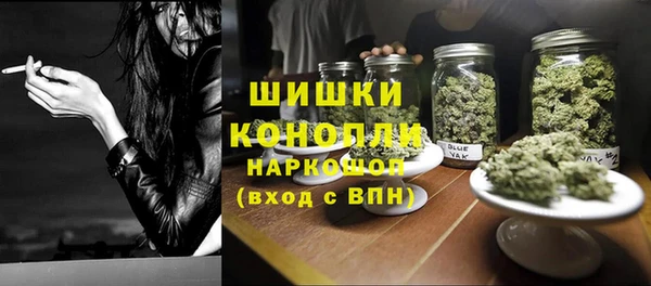 гидра Алексеевка
