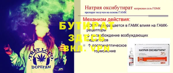 стаф Алексин