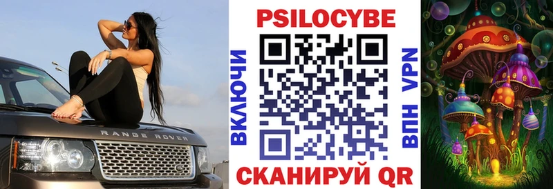 Псилоцибиновые грибы Cubensis  Купить закладки  Курчалой 