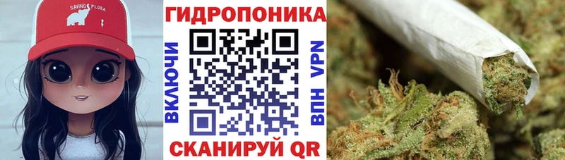 МАРИХУАНА индика Купить где Курчалой